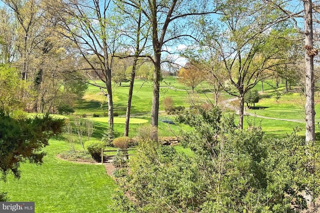 6704 Emporia Ct, Springfield, VA 22152 - view of grassy yard