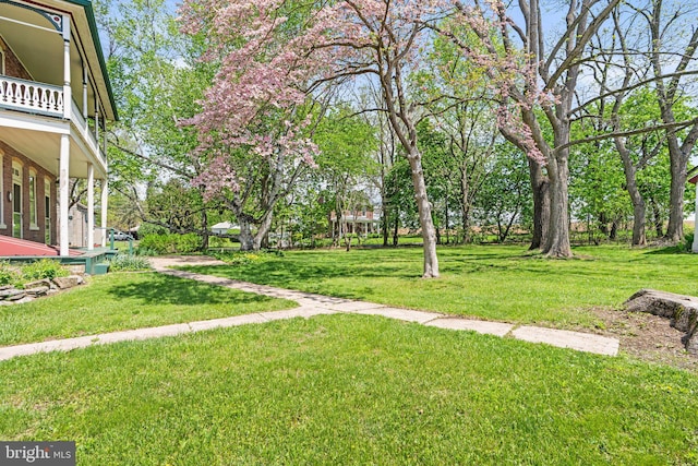 view of yard
