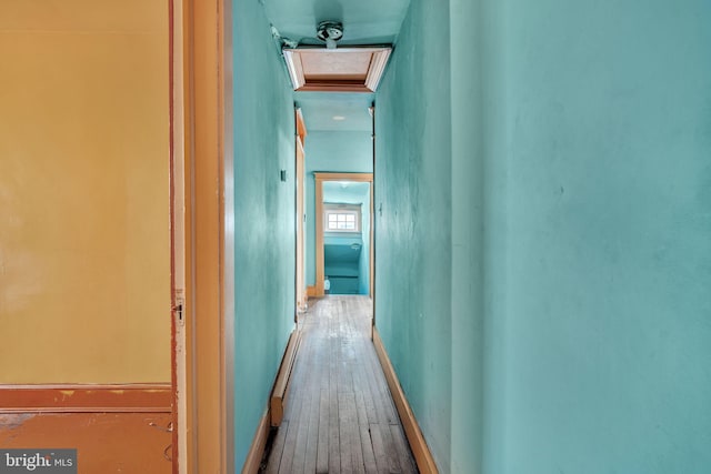 corridor featuring wood-type flooring