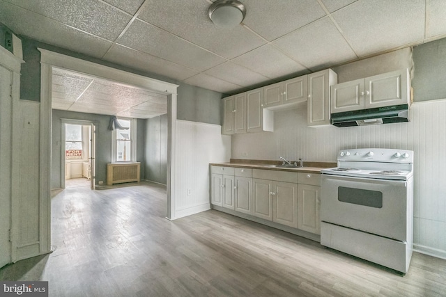 3905 L St, Philadelphia, PA 19124 - kitchen featuring white electric range oven, light wood-type flooring, a drop ceiling, under cabinet range hood, and a sink