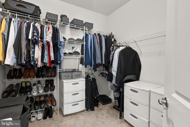 7204 Wood Trail Dr, Lanham, MD 20706 - spacious closet with light colored carpet