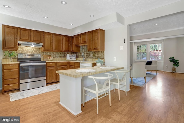 kitchen featuring light countertops, under cabinet range hood, light wood finished floors, and stainless steel electric range