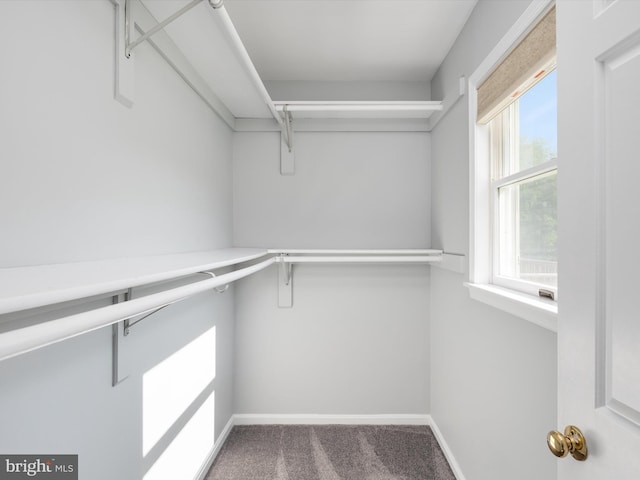 1161 Bacon Ridge Rd, Crownsville, MD 21032 - spacious closet with carpet floors