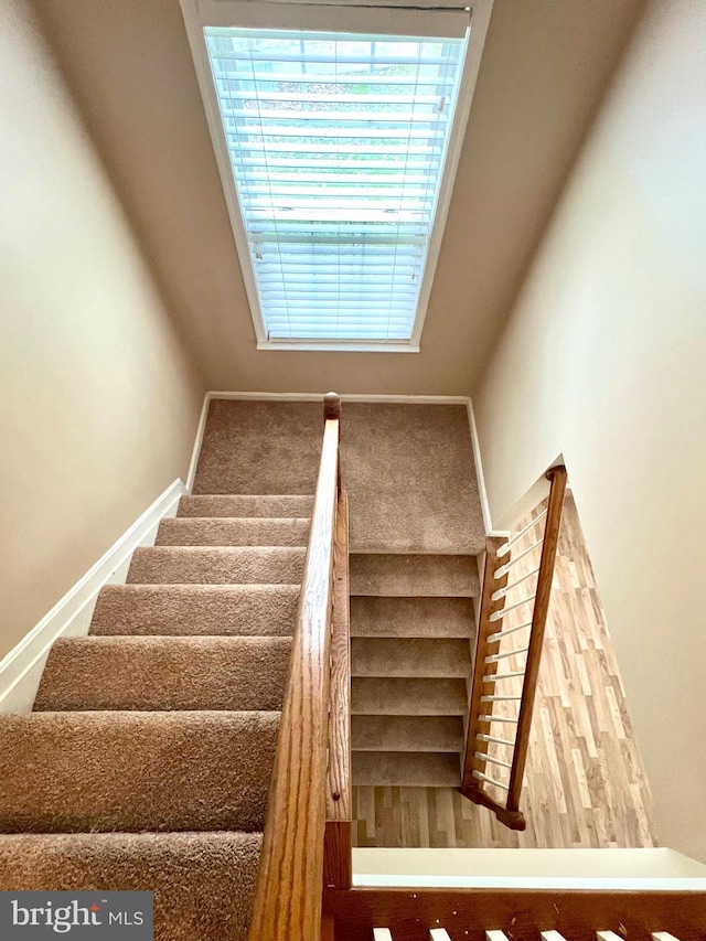 staircase with baseboards
