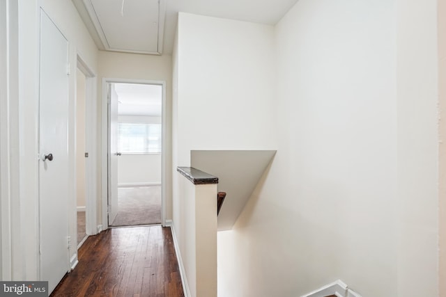 2305 Houston St, Suitland, MD 20746 - hall with attic access, dark wood-style floors, and an upstairs landing