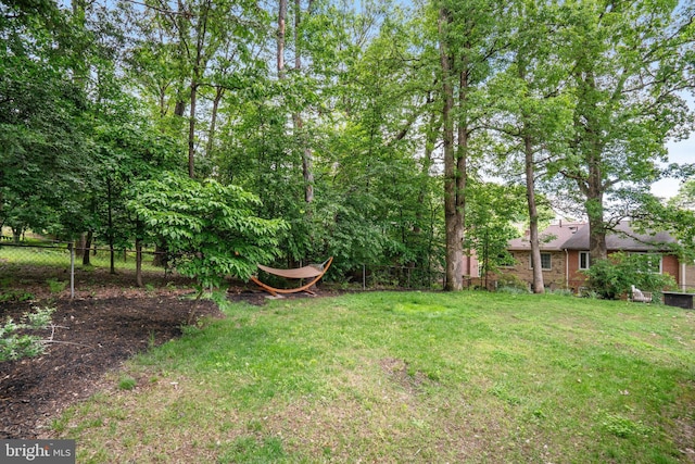 4705 Exeter St, Annandale, VA 22003 - view of yard