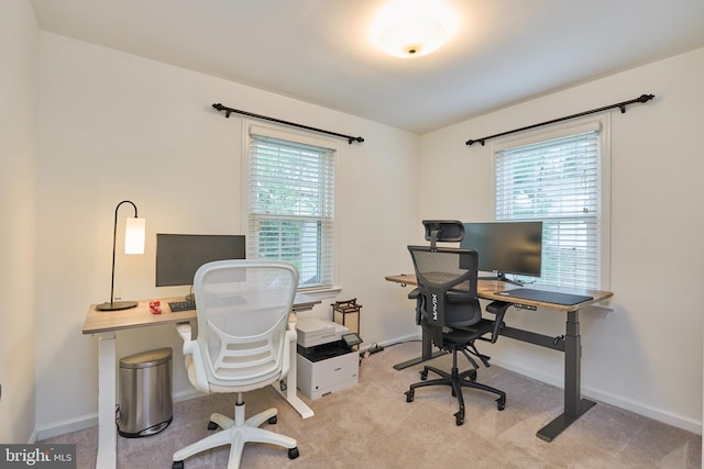 office space featuring baseboards and carpet floors