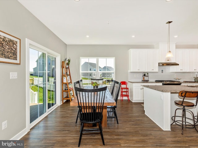 551 Timbermill Ct, Emmitsburg, MD 21727 - kitchen with a healthy amount of sunlight, dark wood-style floors, and under cabinet range hood
