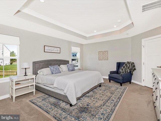 551 Timbermill Ct, Emmitsburg, MD 21727 - bedroom featuring multiple windows, light carpet, visible vents, and a tray ceiling