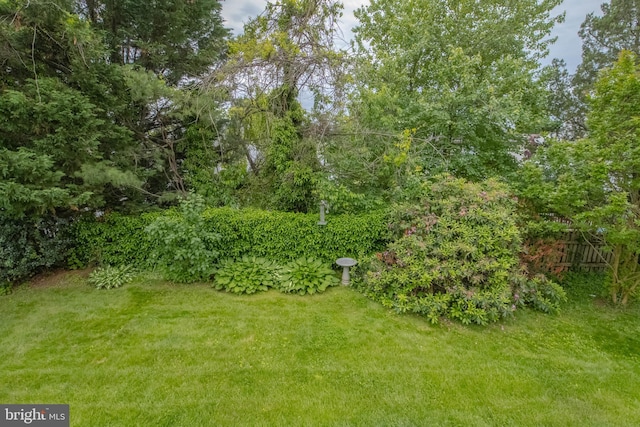 3713 Parkhurst Way, Baltimore, MD 21236 - view of grassy yard