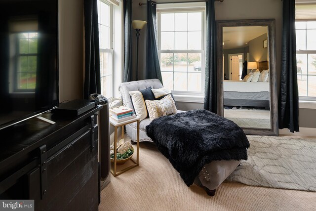 carpeted bedroom featuring multiple windows