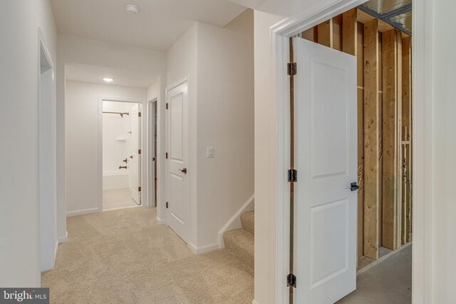 224 Camwood Ct, Fredericksburg, VA 22405 - corridor with light carpet and baseboards