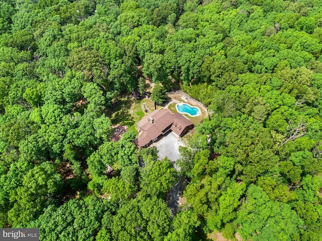 74 Madison Rd, Elmer, NJ 08318 - aerial view of property's location featuring a heavily wooded area and a pool