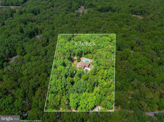 74 Madison Rd, Elmer, NJ 08318 - aerial overview of property's location with a heavily wooded area and property parcel outlined