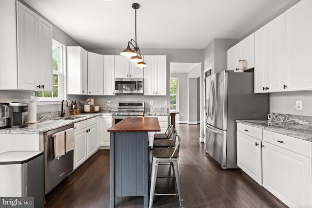 kitchen featuring a sink, wood counters, dark wood finished floors, stainless steel appliances, and white cabinetry