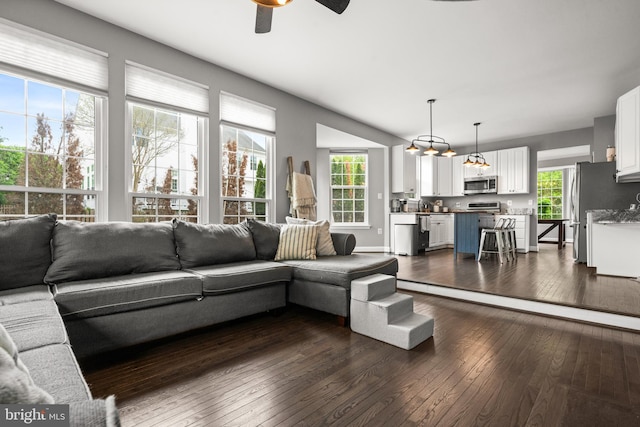 living room featuring plenty of natural light, ceiling fan with notable chandelier, and dark wood-style flooring