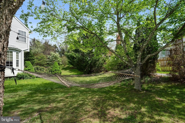 view of yard