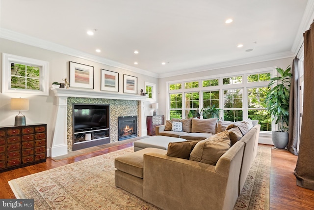 living room featuring crown molding, wood finished floors, a glass covered fireplace, and recessed lighting