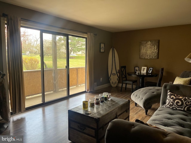living area featuring wood finished floors