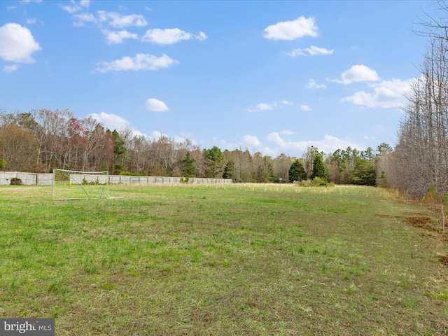 view of yard with a view of trees and a rural view