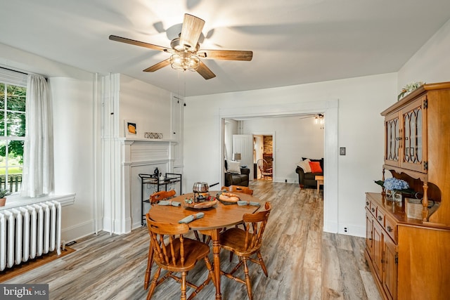 4870 Homeville Rd, Cochranville, PA 19330 - dining area featuring radiator heating unit, a ceiling fan, light wood-style flooring, and a fireplace