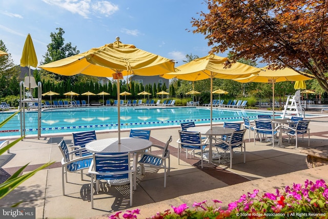 pool featuring a patio and fence