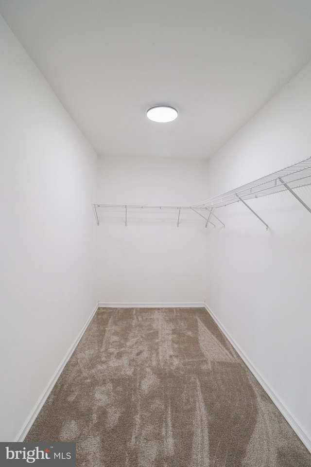 1111 S Mountain Rd, Dillsburg, PA 17019 - spacious closet featuring carpet floors