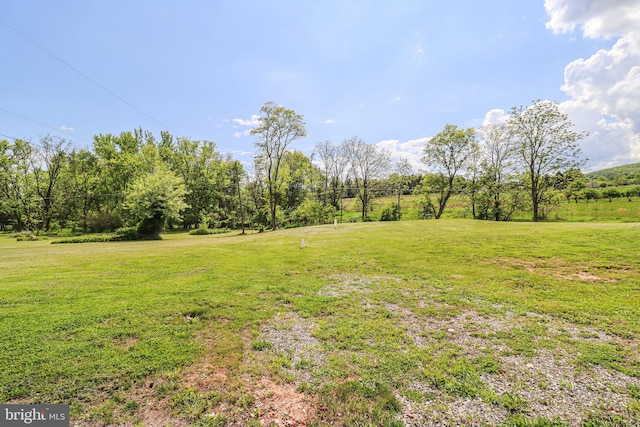 1111 S Mountain Rd, Dillsburg, PA 17019 - view of green lawn