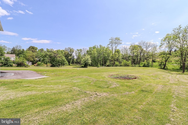 1111 S Mountain Rd, Dillsburg, PA 17019 - view of green lawn with view of scattered trees