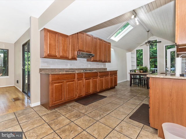 19512 Desmet Pl, Montgomery Village, MD 20886 - kitchen featuring vaulted ceiling, a skylight, baseboards, plenty of natural light, and rail lighting