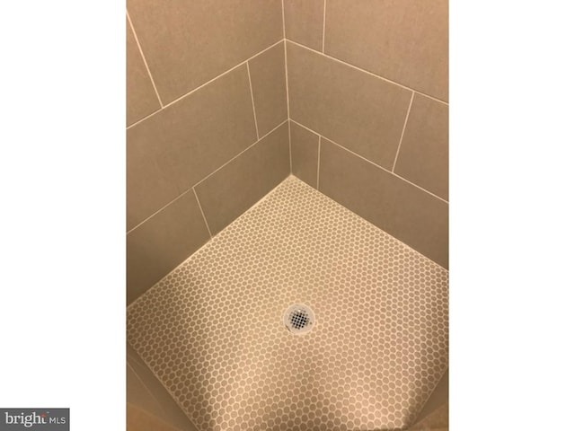 1315 N 6th St, Philadelphia, PA 19122 - details featuring tiled shower
