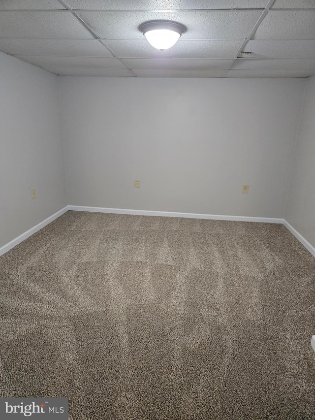 spare room with carpet flooring, baseboards, and a drop ceiling