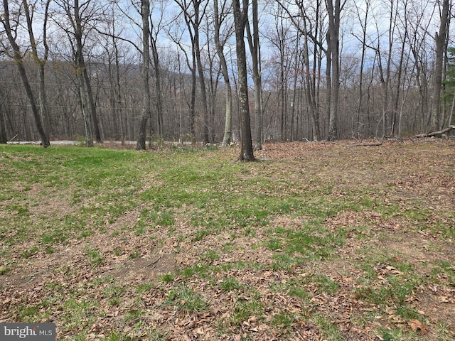 view of yard with a view of trees
