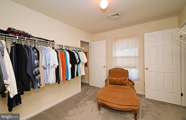 spacious closet featuring visible vents and carpet flooring