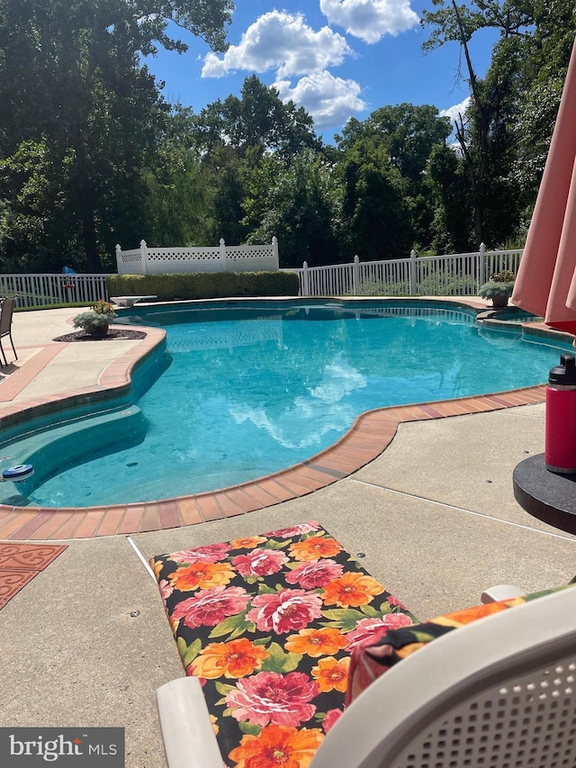 view of pool with a fenced in pool, a patio area, and fence