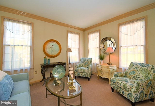 living area with crown molding and carpet flooring