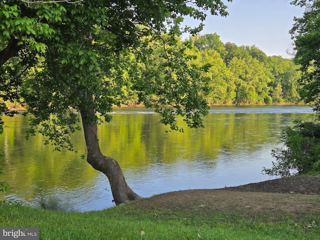 804 Farms River Rd, Front Royal, VA 22630 - water view featuring a heavily wooded area