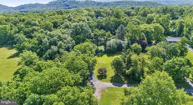 804 Farms River Rd, Front Royal, VA 22630 - aerial view of a forest
