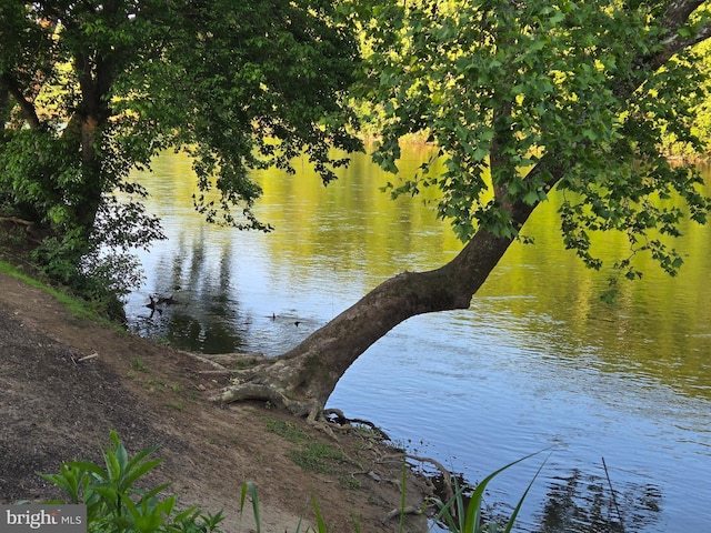 804 Farms River Rd, Front Royal, VA 22630 - water view