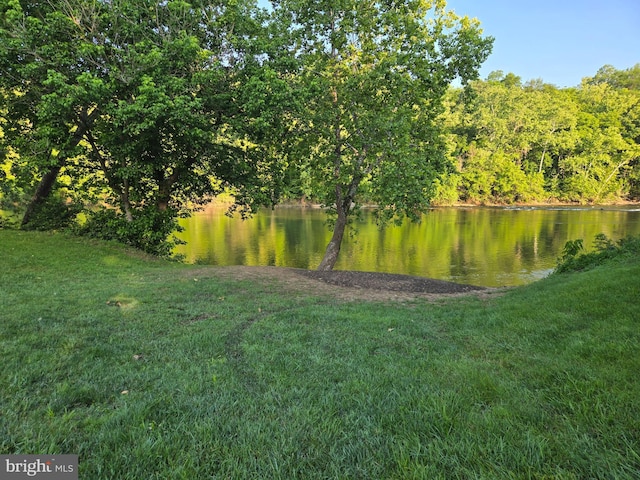 804 Farms River Rd, Front Royal, VA 22630 - view of grassy yard with a water view and a wooded view