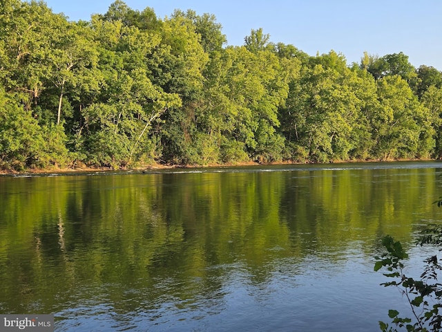 804 Farms River Rd, Front Royal, VA 22630 - water view with a heavily wooded area