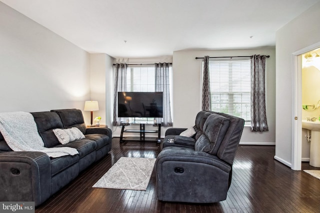 living area featuring a wealth of natural light and wood-type flooring