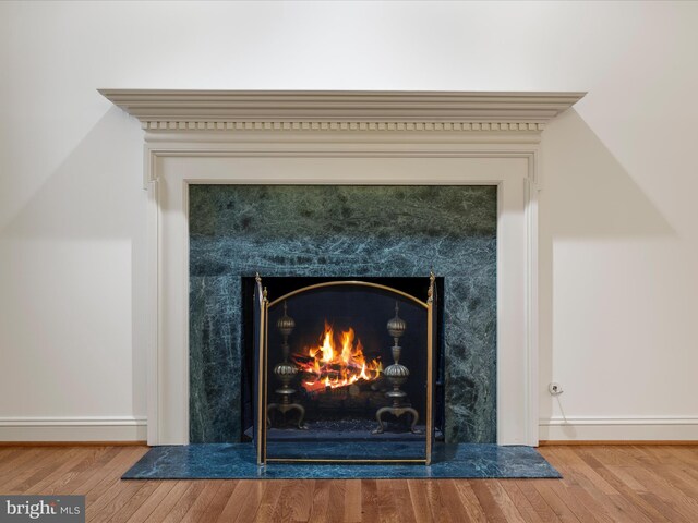 1324 Ramseur Ln, Winchester, VA 22601 - details with a high end fireplace, baseboards, and wood finished floors