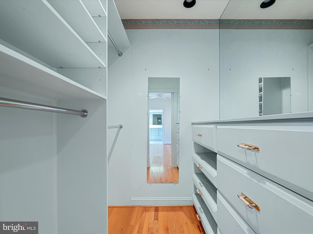 1324 Ramseur Ln, Winchester, VA 22601 - spacious closet featuring light wood finished floors