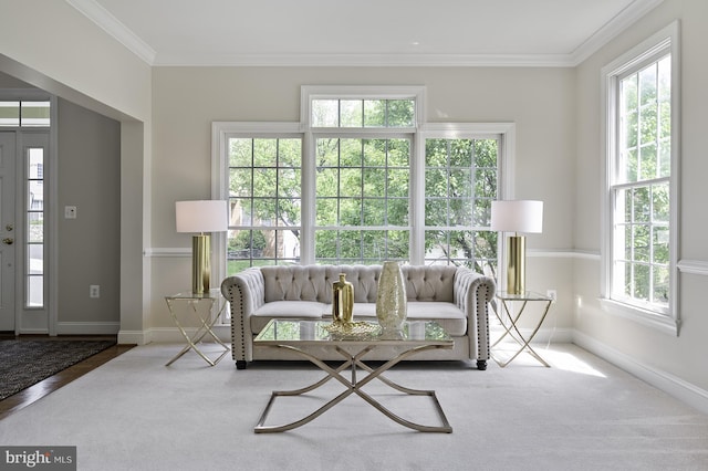 living area featuring plenty of natural light, ornamental molding, baseboards, and carpet flooring