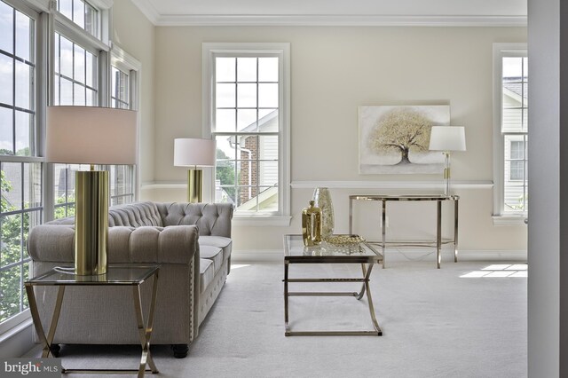 living area featuring crown molding, healthy amount of natural light, baseboards, and carpet flooring