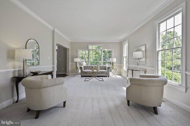 living area with carpet flooring, ornamental molding, and baseboards
