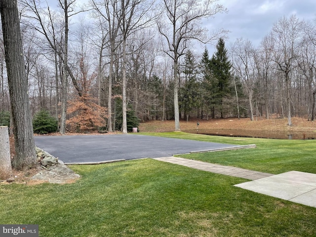 view of yard with aphalt driveway