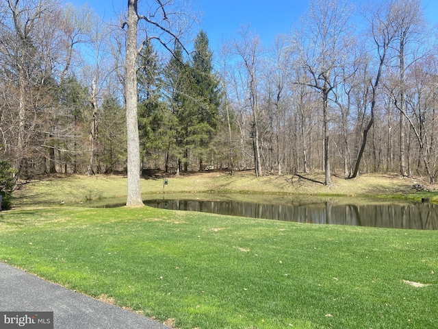 view of yard with a water view and a view of trees