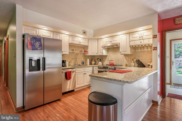 212 Mowry Ln, Edinburg, VA 22824 - kitchen with under cabinet range hood, appliances with stainless steel finishes, a sink, and light wood-type flooring